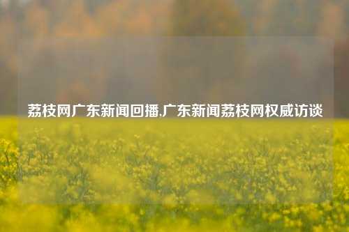 荔枝网广东新闻回播,广东新闻荔枝网权威访谈