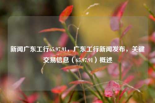 新闻广东工行65.97.91，广东工行新闻发布，关键交易信息（65.97.91）概述