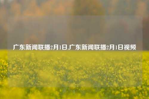 广东新闻联播2月1日,广东新闻联播2月1日视频