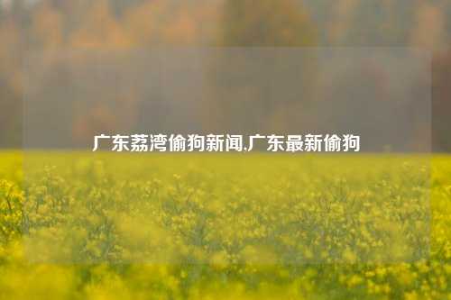 广东荔湾偷狗新闻,广东最新偷狗