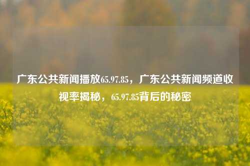 广东公共新闻播放65.97.85，广东公共新闻频道收视率揭秘，65.97.85背后的秘密