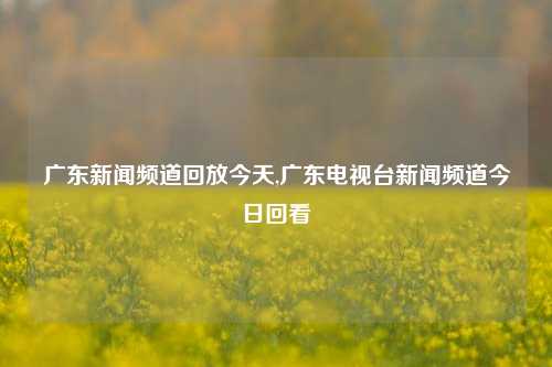 广东新闻频道回放今天,广东电视台新闻频道今日回看