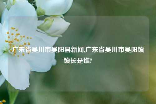 广东省吴川市吴阳县新闻,广东省吴川市吴阳镇镇长是谁?