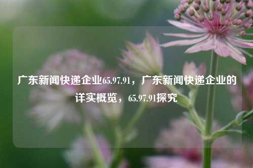 广东新闻快递企业65.97.91，广东新闻快递企业的详实概览，65.97.91探究