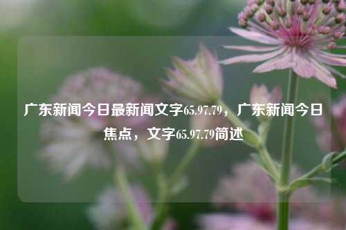 广东新闻今日最新闻文字65.97.79，广东新闻今日焦点，文字65.97.79简述