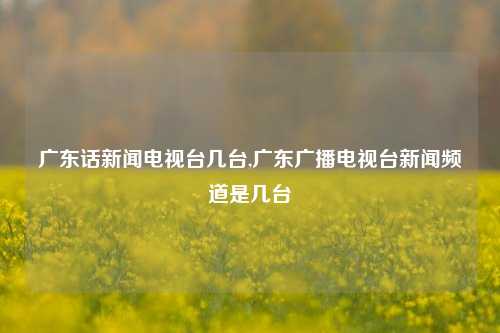 广东话新闻电视台几台,广东广播电视台新闻频道是几台