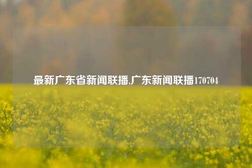 最新广东省新闻联播,广东新闻联播170704