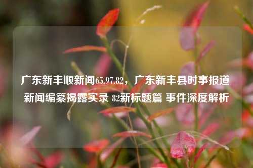 广东新丰顺新闻65.97.82，广东新丰县时事报道 新闻编纂揭露实录 82新标题篇 事件深度解析