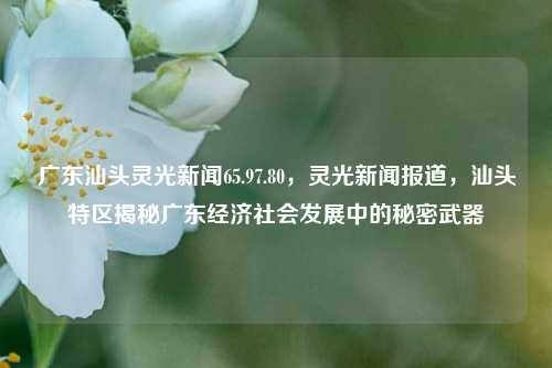 广东汕头灵光新闻65.97.80，灵光新闻报道，汕头特区揭秘广东经济社会发展中的秘密武器