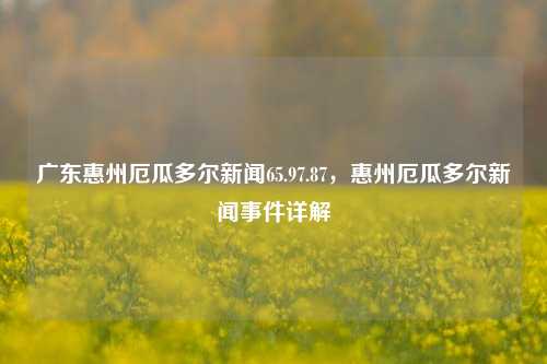 广东惠州与厄瓜多尔新闻交流的深度解析