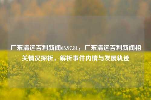 广东清远吉利新能源汽车产业园一览