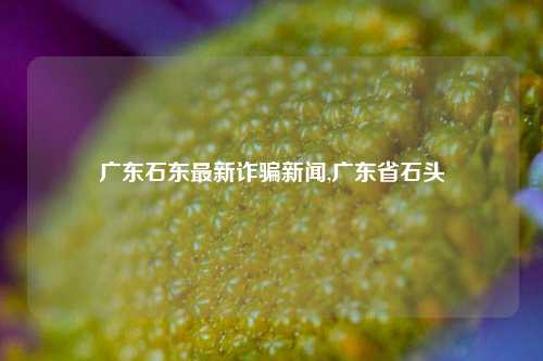 广东石东最新诈骗新闻,广东省石头