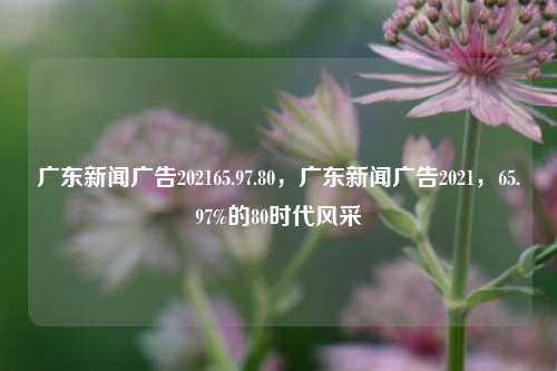 广东新闻广告202165.97.80，广东新闻广告2021，65.97%的80时代风采