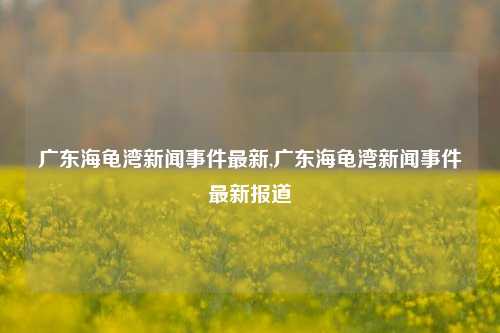 广东海龟湾新闻事件最新,广东海龟湾新闻事件最新报道