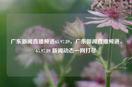 广东新闻直播频道65.97.89，广东新闻直播频道，65.97.89 新闻动态一网打尽