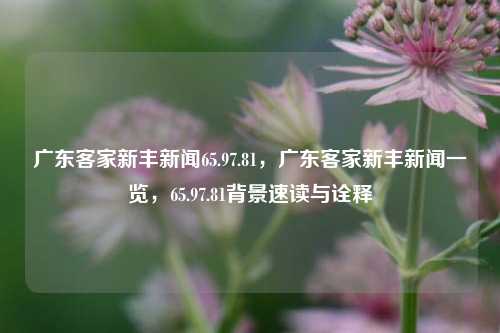 广东客家新丰新闻65.97.81，广东客家新丰新闻一览，65.97.81背景速读与诠释