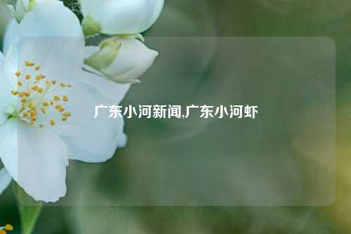 广东小河新闻,广东小河虾