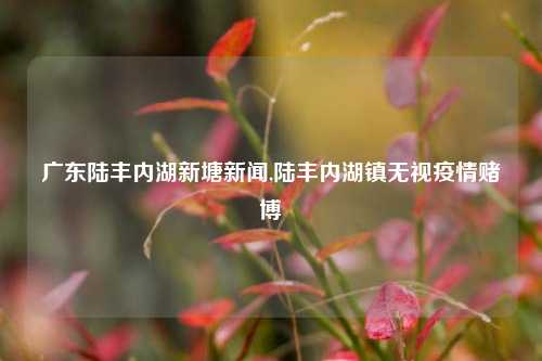 广东陆丰内湖新塘新闻,陆丰内湖镇无视疫情赌博