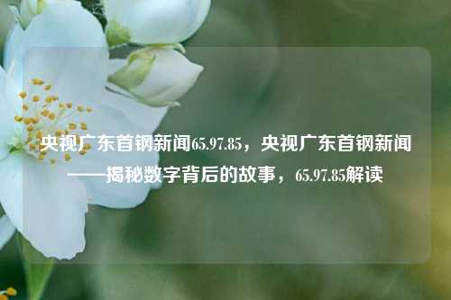 央视广东首钢新闻65.97.85，央视广东首钢新闻——揭秘数字背后的故事，65.97.85解读