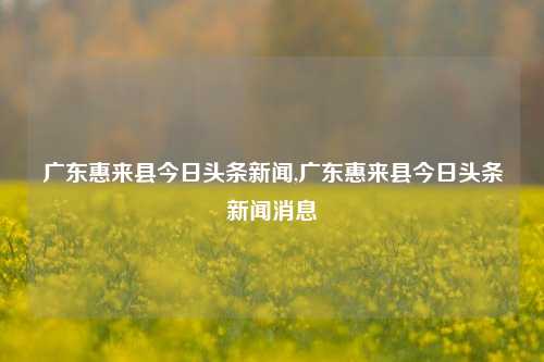 广东惠来县今日头条新闻,广东惠来县今日头条新闻消息