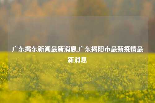 广东揭东新闻最新消息,广东揭阳市最新疫情最新消息