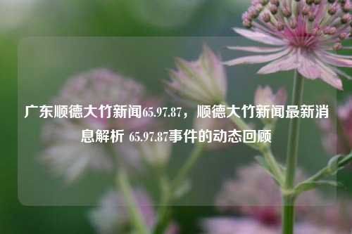 广东顺德大竹新闻65.97.87，顺德大竹新闻最新消息解析 65.97.87事件的动态回顾