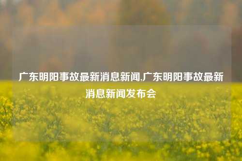 广东明阳事故最新消息新闻,广东明阳事故最新消息新闻发布会