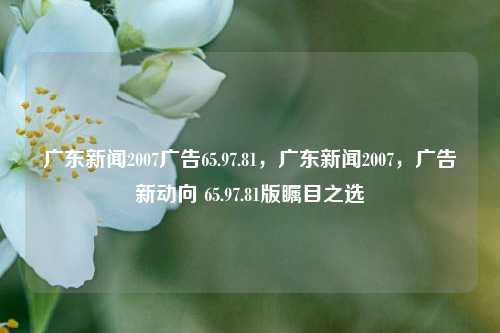 广东新闻2007广告65.97.81，广东新闻2007，广告新动向 65.97.81版瞩目之选