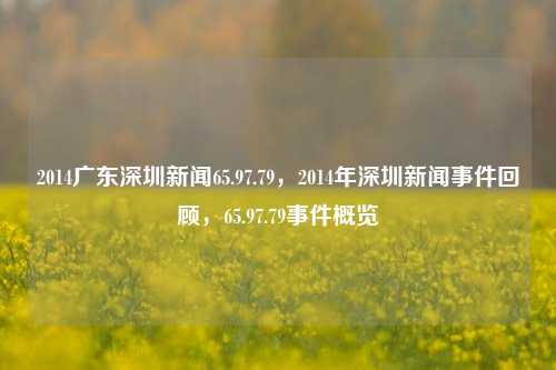 2014广东深圳新闻65.97.79，2014年深圳新闻事件回顾，65.97.79事件概览