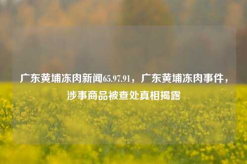 广东黄埔冻肉新闻65.97.91，广东黄埔冻肉事件，涉事商品被查处真相揭露