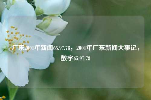 广东2001年新闻65.97.78，2001年广东新闻大事记，数字65.97.78