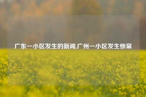 广东一小区发生的新闻,广州一小区发生惨案