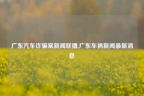 广东汽车诈骗案新闻联播,广东车祸新闻最新消息