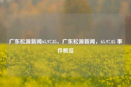 广东松源新闻65.97.85，广东松源新闻，65.97.85 事件概览