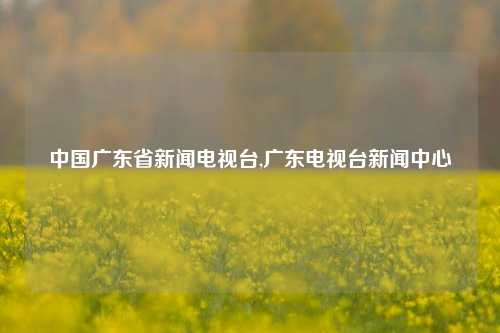 中国广东省新闻电视台,广东电视台新闻中心