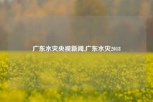 广东水灾央视新闻,广东水灾2018