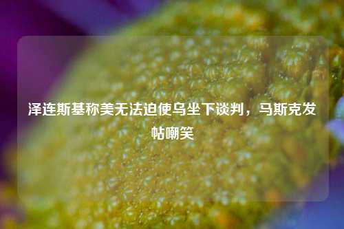 泽连斯基称美无法迫使乌坐下谈判，马斯克发帖嘲笑