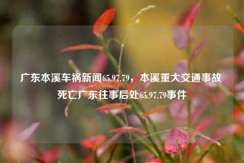 广东本溪车祸新闻65.97.79，本溪重大交通事故 死亡广东往事后处65.97.79事件