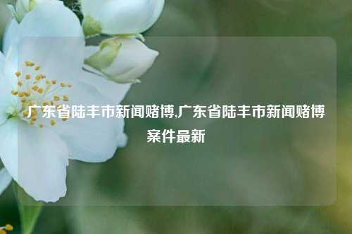 广东省陆丰市新闻赌博,广东省陆丰市新闻赌博案件最新