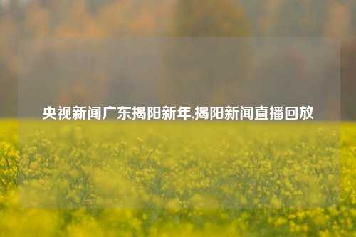 央视新闻广东揭阳新年,揭阳新闻直播回放