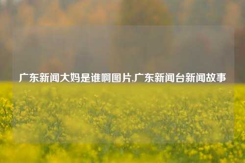 广东新闻大妈是谁啊图片,广东新闻台新闻故事