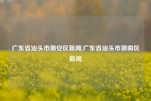 广东省汕头市潮安区新闻,广东省汕头市潮南区新闻