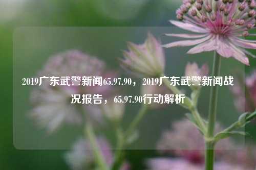 2019广东武警新闻65.97.90，2019广东武警新闻战况报告，65.97.90行动解析