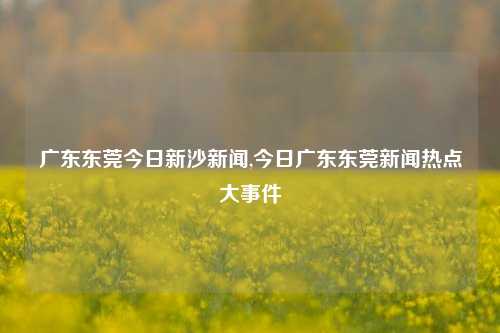 广东东莞今日新沙新闻,今日广东东莞新闻热点大事件