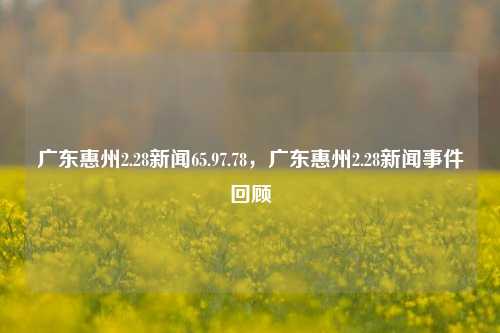 广东惠州2.28新闻65.97.78，广东惠州2.28新闻事件回顾