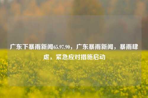 广东暴雨新闻实拍