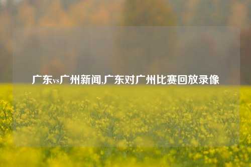 广东vs广州新闻,广东对广州比赛回放录像