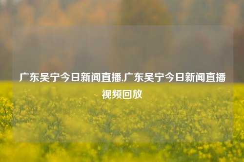 广东吴宁今日新闻直播,广东吴宁今日新闻直播视频回放