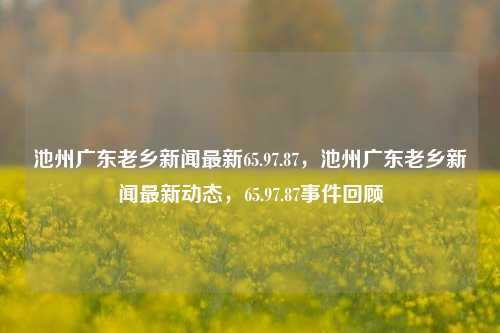 池州广东老乡新闻最新65.97.87，池州广东老乡新闻最新动态，65.97.87事件回顾