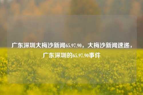 广东深圳大梅沙新闻65.97.90，大梅沙新闻速递，广东深圳的65.97.90事件